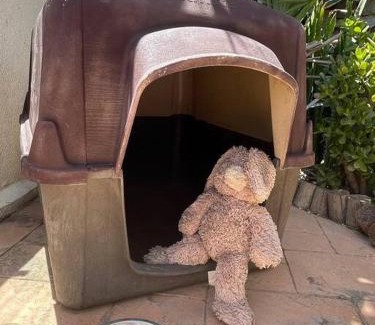 Ensenada Apartment | Hermoso departamento con vista al mar y privado