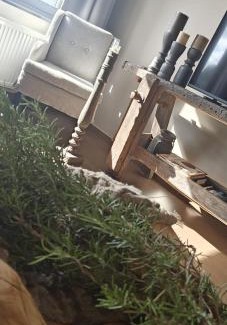 Zonhoven Apartment | Het Mezennest