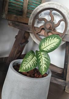 Zonhoven Apartment | Het Mezennest