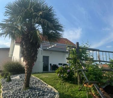 Videm House | Hiška pri brajdah