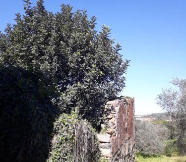 Platanias House | Hidden House in Nature