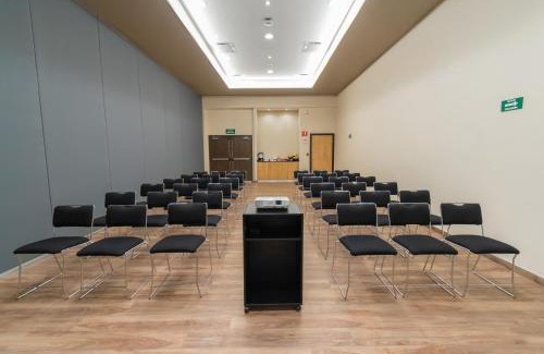 Chihuahua Hotel | Highland Chihuahua