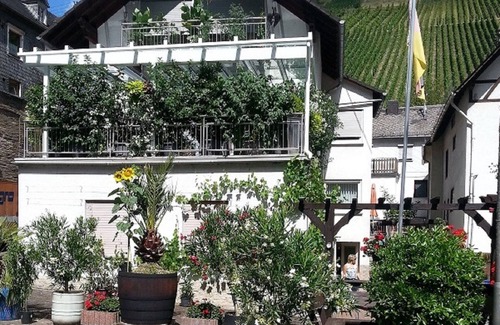 Mainz-Bingen Apartment | Hiking in the Middle Rhine