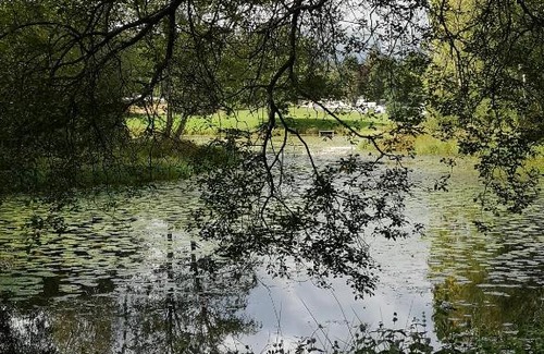 Beattock Other | Hill views. Pines 1