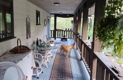 Willow Creek Cottage | HILLTOP HAVEN n2BR CottagenSerenity for your family & petsnMassage/Yoga avail