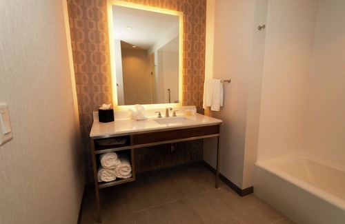 Hurst Hotel | Hilton Garden Inn Dallas at Hurst Conference Center