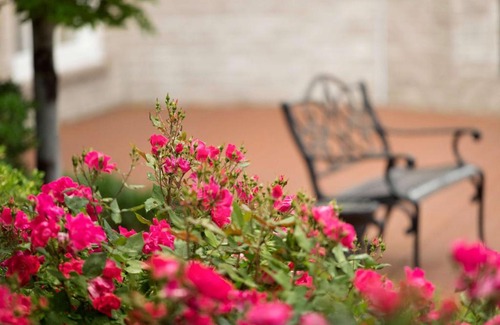 Frontenac Hotel | Hilton St. Louis Frontenac