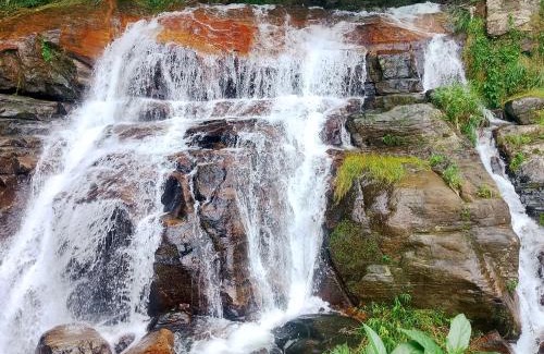 Ella Cabin | Hiruni Cottage Ella