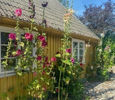Skane-Tranas House | Historic Cottage In The Heart Of Österlen