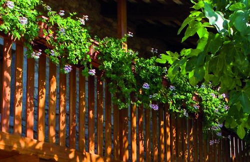 Stregna Apartment | Historic house in rustic style and surrounded by nature
