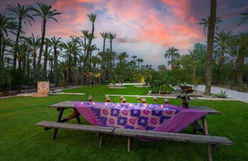Algoros Villa | Historical Palms Villa by Fidalsa