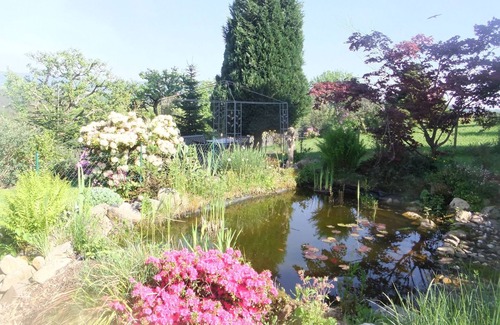 Prosterath Apartment | Hochwald vacation apartment in the national park for hikers, nature, culture and dog owners