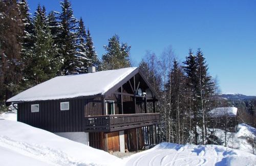 Hjartdal Municipality Apartment | Hogstul Hytter - Apartment South