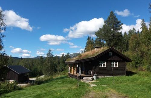Hjartdal Municipality House | Hogstul Hytter - Skojestua - 2 Bedroom Cottage