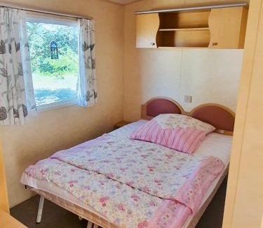 Miedzychod House | Holenderki na Zielonych Wzgórzach, Łowyń