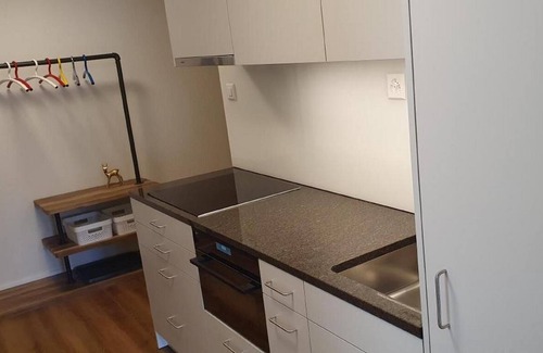Acletta Apartment | Holiday apartment Disentis / Mustér for 5 - 6 persons with 2 bedrooms - Holiday apartment