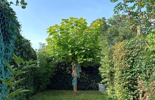 Goedereede Apartment | Holiday apartment Goedereede for 1 - 6 persons with 3 bedrooms - Holiday apartment