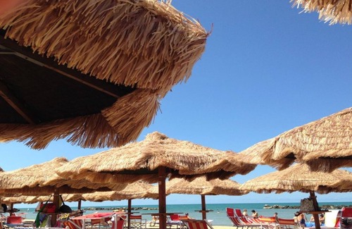Francavilla al Mare Apartment | Holiday Dreams - Green