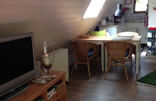 Feriendorf Eichwald House | Holiday home in the Pfalz, WLAN, bio-sauna, quiet and sunny location at the edge of the forest