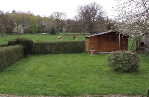 Heupelzen Apartment | Holiday home Am Beulskopf