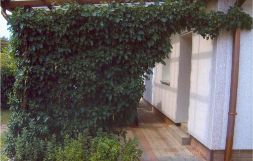 Locknitz House | Holiday Home Am Wiesengrund V
