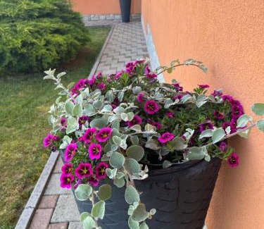 Licko Lesce House | Holiday Home Božica