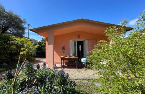 Costa dʼOneglia House | Holiday Home Casa dei Nonni - IMP425 by Interhome