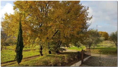 Ferretto Villa | Holiday home in Cortona - Toskana 30389
