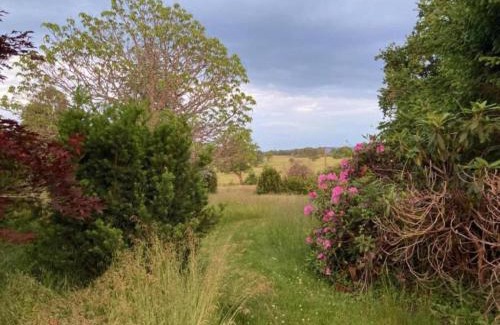 Cuzy House | Holiday Home in Luzy with Fenced Garden, cleaning included