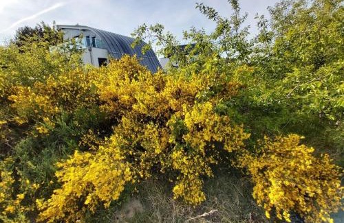 Pruchten House | Holiday home with swimming pool