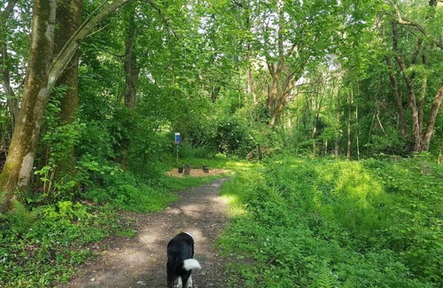 Quartino House | Holiday house Quartino for 1 - 3 persons with 1 bedroom - Detached holiday house