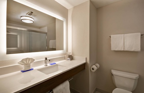 Raisin Hotel | Holiday Inn Express Hotel & Suites River Park by IHG
