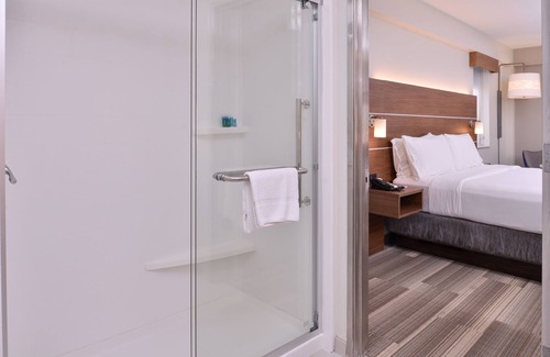 Arts/Warehouse District Hotel | Holiday Inn Express New Orleans - Arts District by IHG