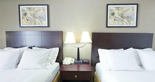 Riverwoods Hotel | Holiday Inn Express & Suites Chicago-Deerfield Lincolnshire by IHG