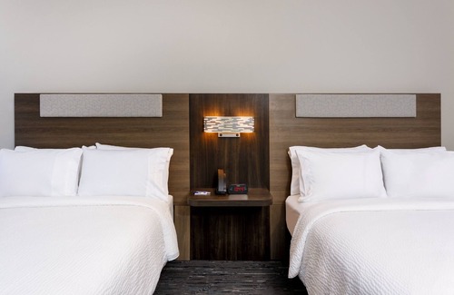 Tampa Hotel | Holiday Inn Express & Suites Tampa Stadium – Airport Area by IHG