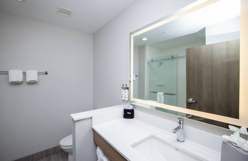 Tampa Hotel | Holiday Inn Express & Suites Tampa Stadium – Airport Area by IHG