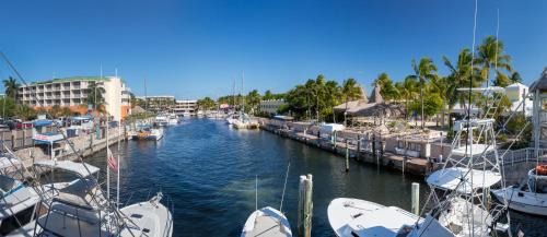 Key Largo Resort | Holiday Inn Key Largo by IHG