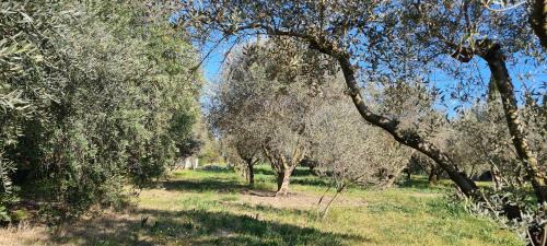 Saint-Etienne-du-Gres House | Home Charmant des Alpilles