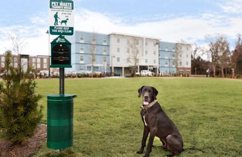 Mount Pleasant Hotel | Home2 Suites By Hilton Mt Pleasant Charleston