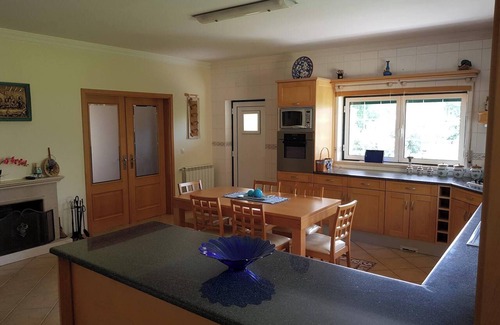 Ansiao House | Homerez - House in Santiago Da Guarda