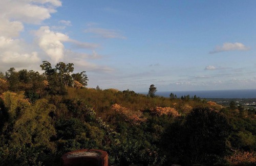 L'Etang-Sale Apartment | Homerez - Studio in L'Étang-Salé