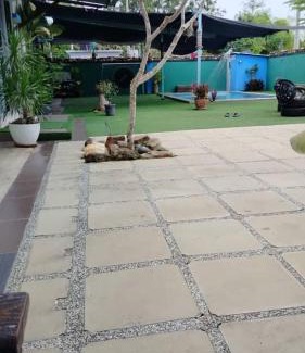 Changlun House | Homestay Megat & Puteri