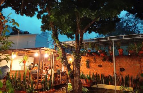 Pleiku House | Homestay Vườn nhãn