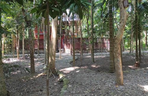 Barangabari Cottage | Homocation Sikhiri Cottages