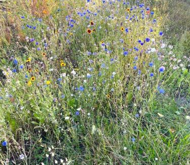 Muritz Apartment | HORAMI Villa - ORIGAMI Apartment mit Terrasse