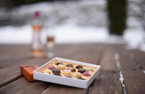 Odorheiu Secuiesc Bed & Breakfast | Horizont Panzio