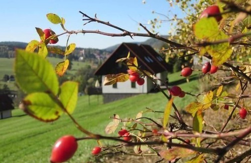 Starkov House | Horses, donkeys, restaurant and nature