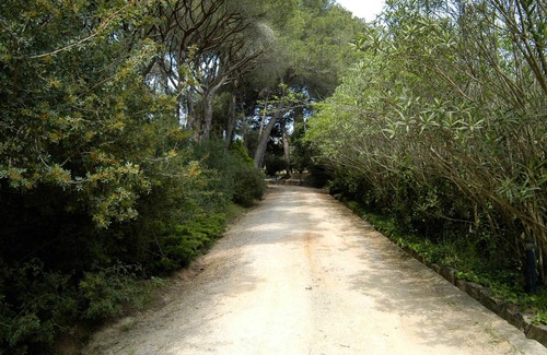 Vall-Llobrega House | Hospédate de Película