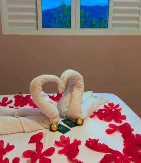 Gravatal House | Hospedagem Vô João