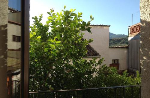 Guadalupe House | Hostal Cerezo 2